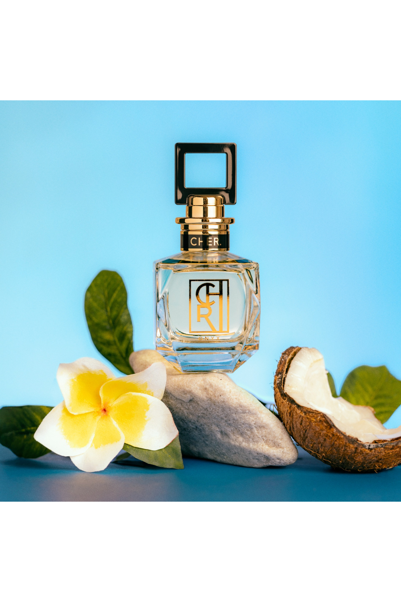 PERFUME ONYX DELIGHT 100ML -